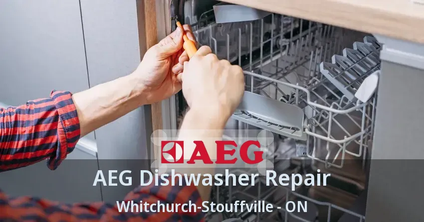 AEG Dishwasher Repair Whitchurch-Stouffville - ON
