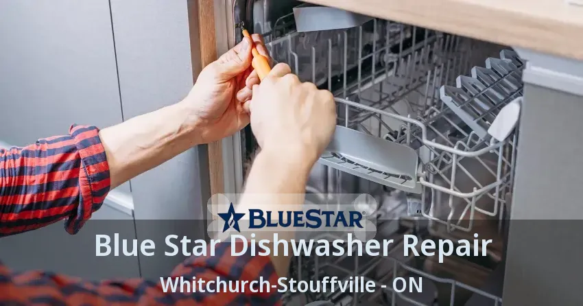 Blue Star Dishwasher Repair Whitchurch-Stouffville - ON