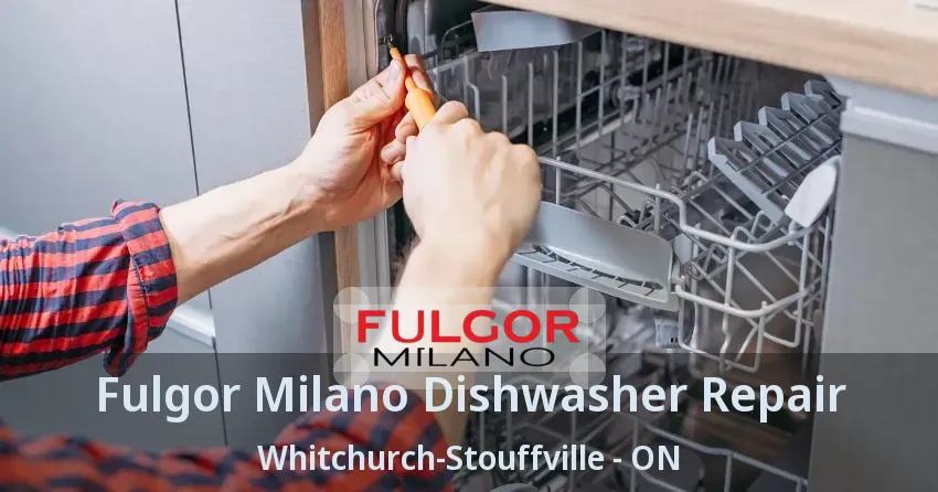 Fulgor Milano Dishwasher Repair Whitchurch-Stouffville - ON