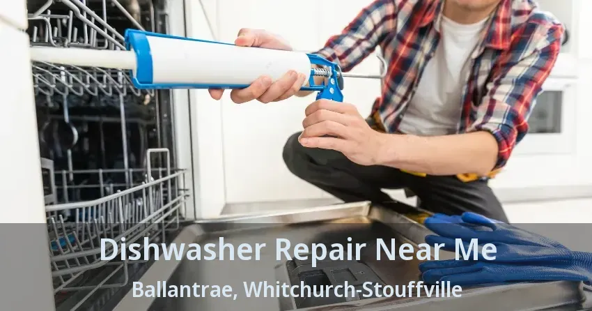 Dishwasher Repair Near Me Ballantrae, Whitchurch-Stouffville - ON