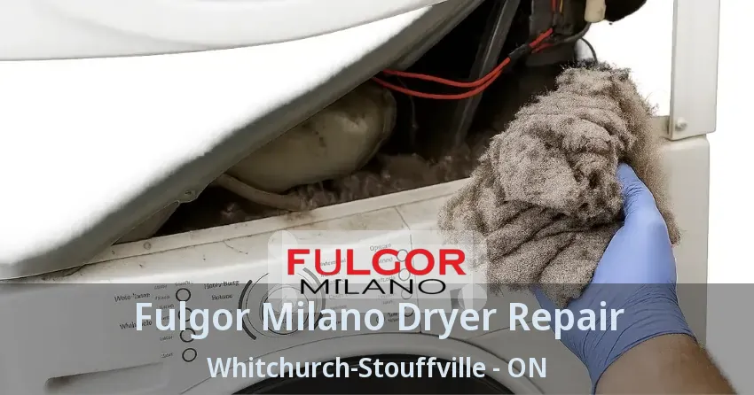 Fulgor Milano Dryer Repair Whitchurch-Stouffville - ON