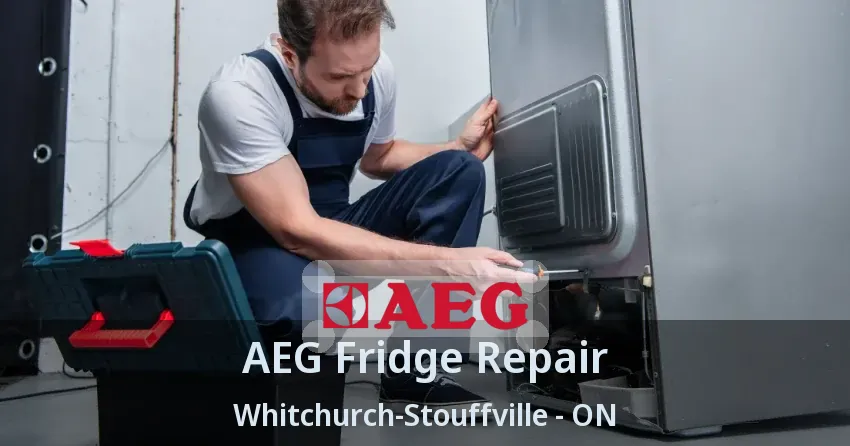 AEG Fridge Repair Whitchurch-Stouffville - ON