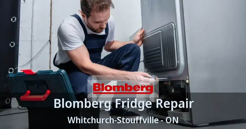 Blomberg Fridge Repair Whitchurch-Stouffville - ON