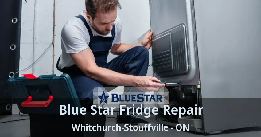 Blue Star Fridge Repair Whitchurch-Stouffville - ON