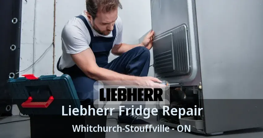 Liebherr Fridge Repair Whitchurch-Stouffville - ON