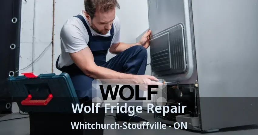 Wolf Fridge Repair Whitchurch-Stouffville - ON