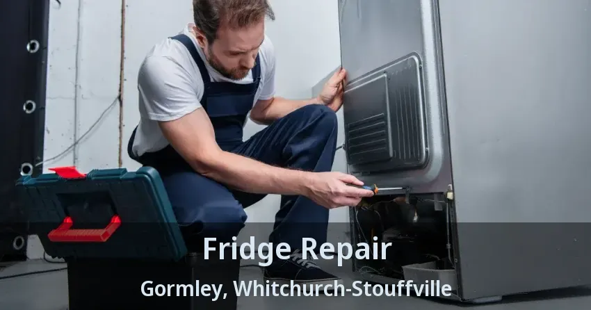 Fridge Repair Gormley, Whitchurch-Stouffville - ON