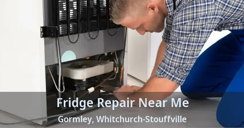 Fridge Repair Near Me Gormley, Whitchurch-Stouffville - ON