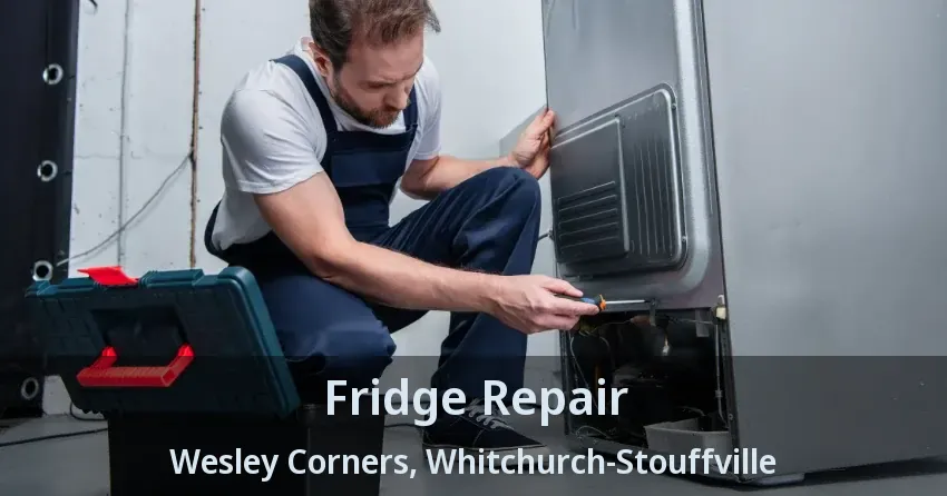 Fridge Repair Wesley Corners, Whitchurch-Stouffville - ON