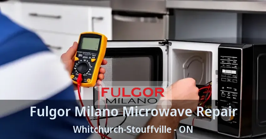 Fulgor Milano Microwave Repair Whitchurch-Stouffville - ON