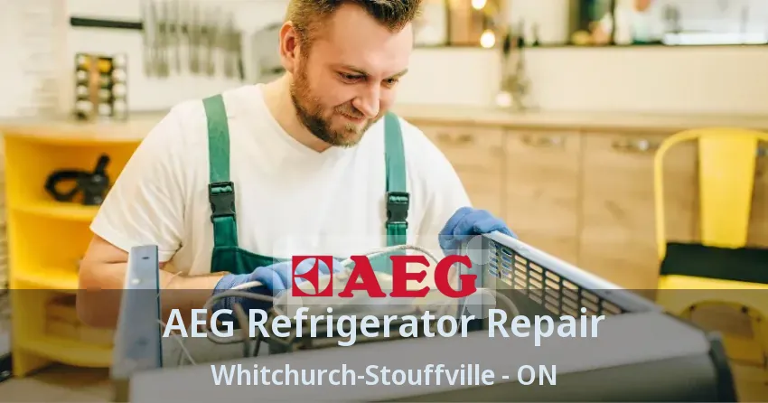 AEG Refrigerator Repair Whitchurch-Stouffville - ON