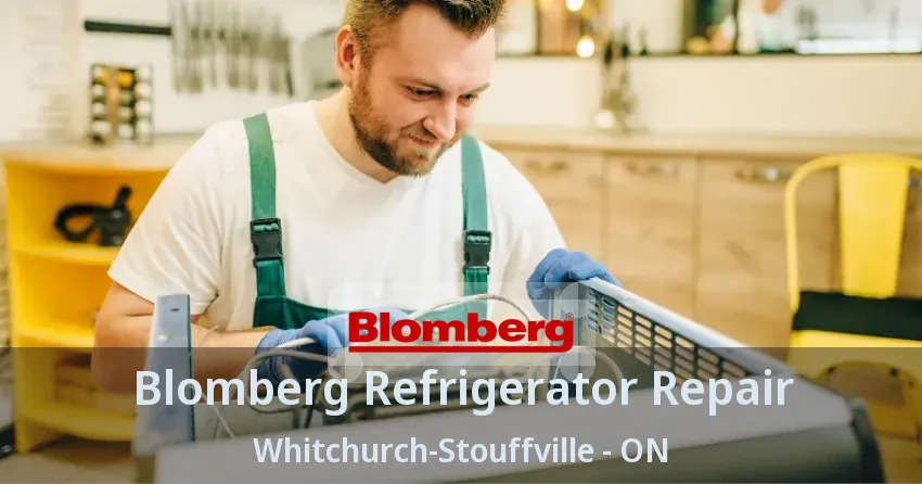 Blomberg Refrigerator Repair Whitchurch-Stouffville - ON