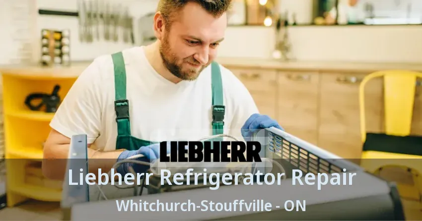 Liebherr Refrigerator Repair Whitchurch-Stouffville - ON