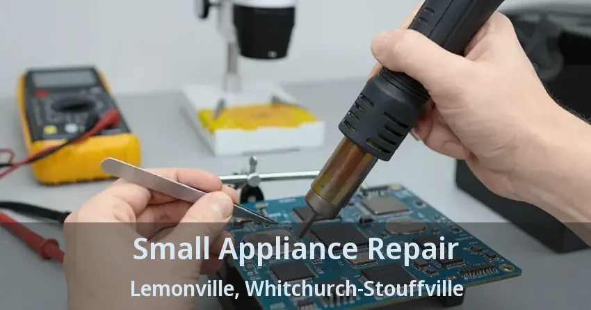 Small Appliance Repair Lemonville, Whitchurch-Stouffville - ON
