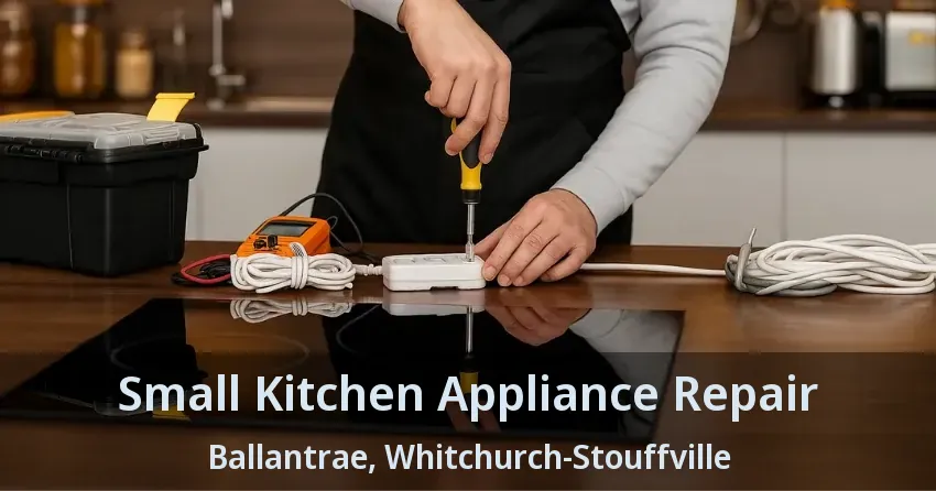 Small Kitchen Appliance Repair Ballantrae, Whitchurch-Stouffville - ON