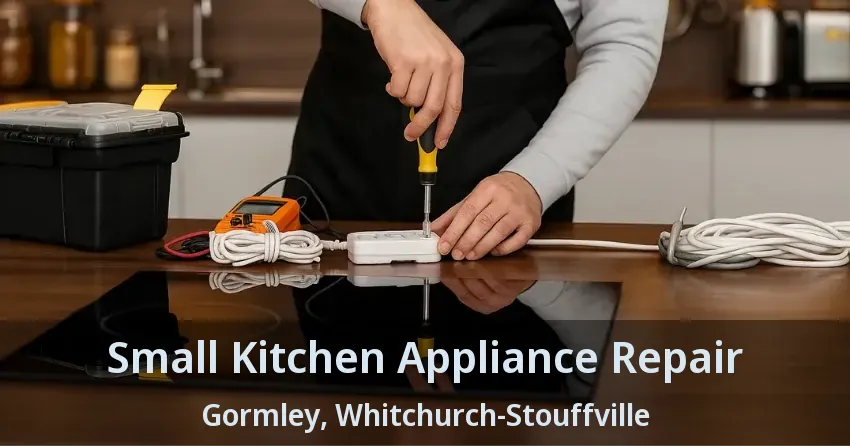 Small Kitchen Appliance Repair Gormley, Whitchurch-Stouffville - ON