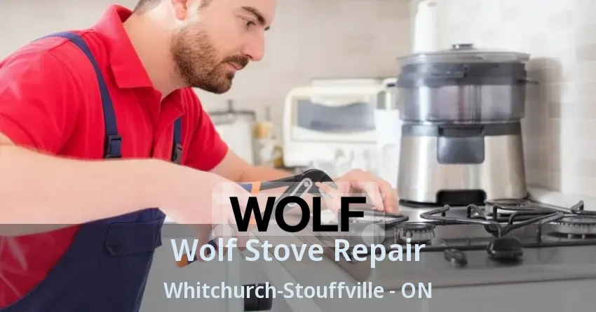 Wolf Stove Repair Whitchurch-Stouffville - ON